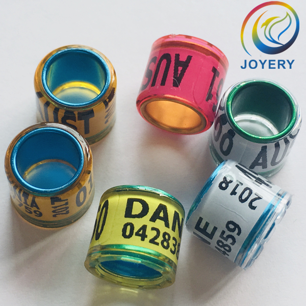 Colour inner core pigeon rings